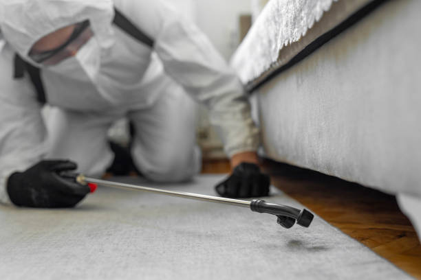 Professional Bed Bug Control technician working in La Crosse County County, WI